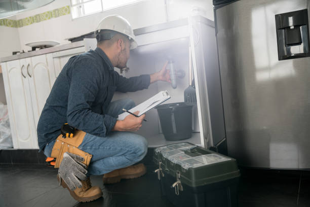 Best Water Softener Installation  in Wenona, IL