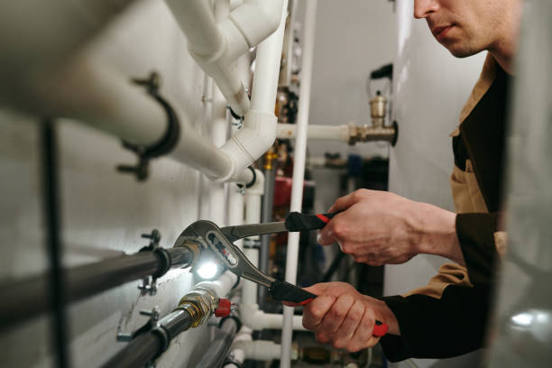 Best Affordable Plumber Near Me  in Wenona, IL