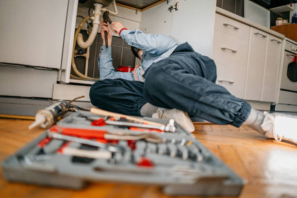 Best Emergency Plumbing Repair  in Wenona, IL