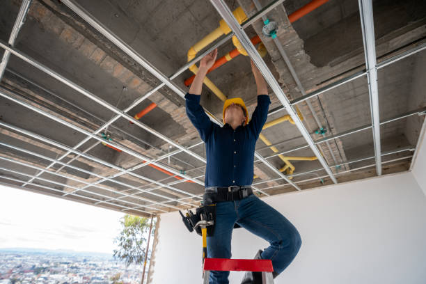Best Plumbing Installation Services  in Wenona, IL