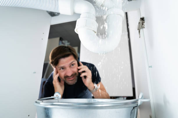 Best Faucet Repair  in Wenona, IL