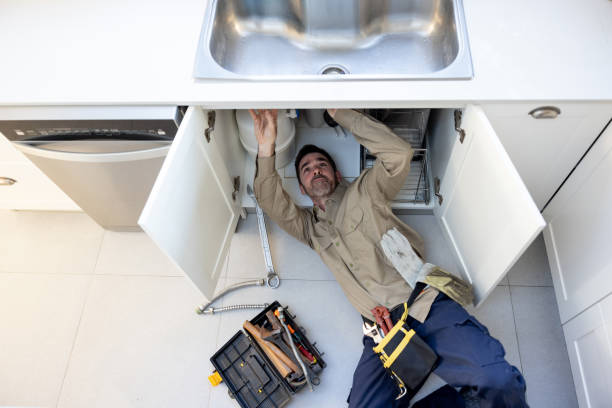 Best Commercial Plumbing Services  in Wenona, IL