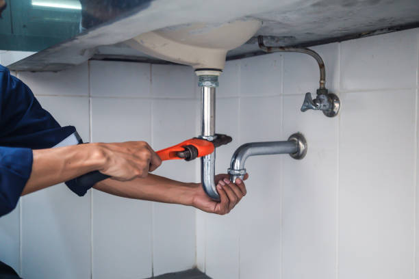 Best Best Plumbers Near Me  in Wenona, IL