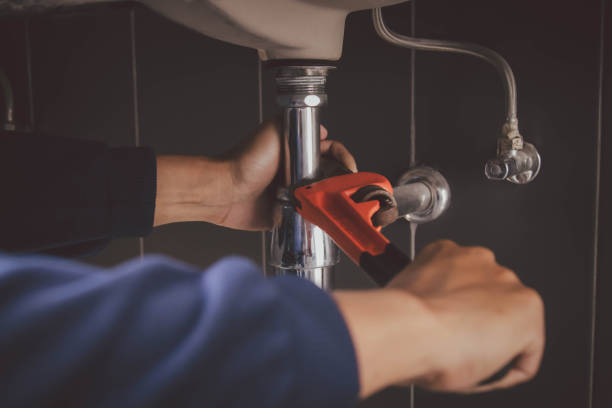 Professional Plumbing in Wenona, IL